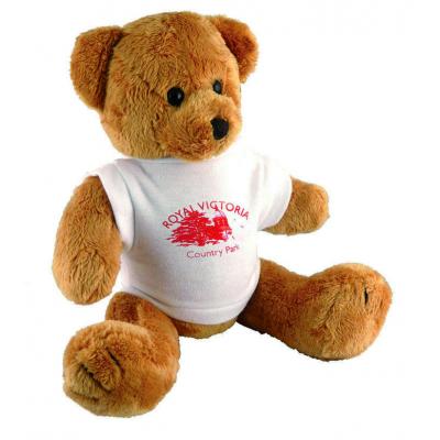 Image of Branded Teddy Bear with printed T Shirt