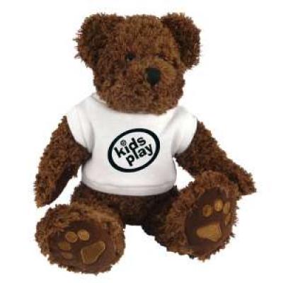 Image of Promotional Teddie Bear & T-Shirt