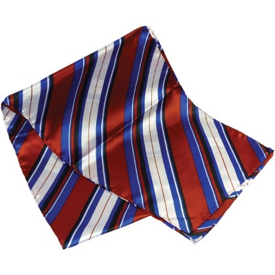 Image of Printed Polyester Scarf (Long)