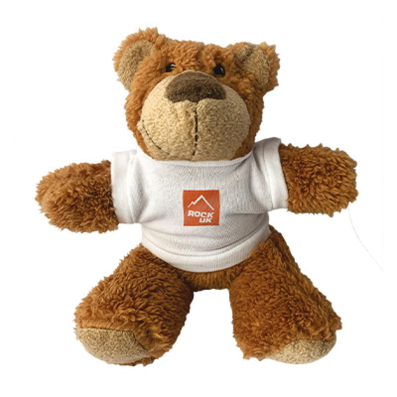 Image of Promotional Branded Teddy Bear and T Shirt