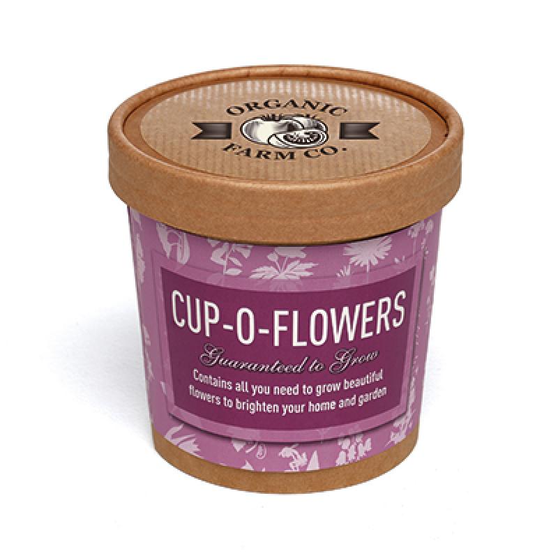 Image of Cup-O-Flowers